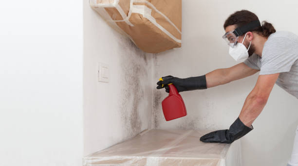 Professional Bathroom Mold Removal technician working in Malden, MA