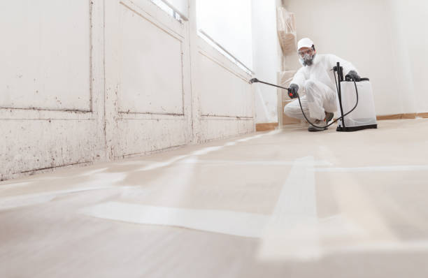 24/7 Emergency Bathroom Mold Removal experts in Malden, MA
